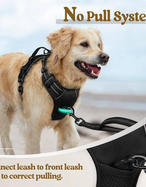 Load image into Gallery viewer, Dog Harness, No-Pull Pet Harness with 2 Leash Clips, Adjustable Soft Padded Dog Vest, Reflective Outdoor Pet Oxford Vest with Easy Control Handle for Large Dogs, Black

