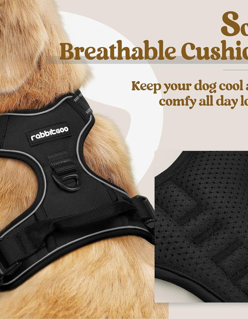 Load image into Gallery viewer, Dog Harness, No-Pull Pet Harness with 2 Leash Clips, Adjustable Soft Padded Dog Vest, Reflective Outdoor Pet Oxford Vest with Easy Control Handle for Large Dogs, Black
