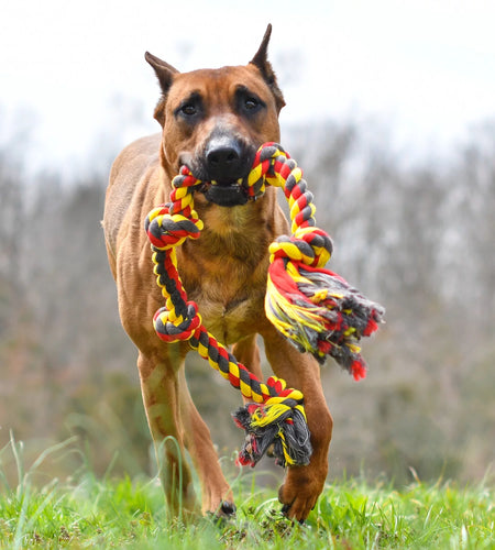 Flossy Chews Cottonblend 5 Knot Tug Rope Dog Toy Extra Large 36", Assorted Colors