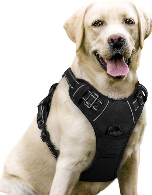 Load image into Gallery viewer, Dog Harness, No-Pull Pet Harness with 2 Leash Clips, Adjustable Soft Padded Dog Vest, Reflective Outdoor Pet Oxford Vest with Easy Control Handle for Large Dogs, Black

