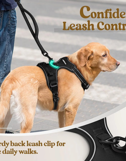 Load image into Gallery viewer, Dog Harness, No-Pull Pet Harness with 2 Leash Clips, Adjustable Soft Padded Dog Vest, Reflective Outdoor Pet Oxford Vest with Easy Control Handle for Large Dogs, Black
